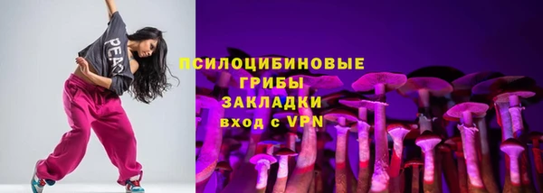 тгк Беломорск