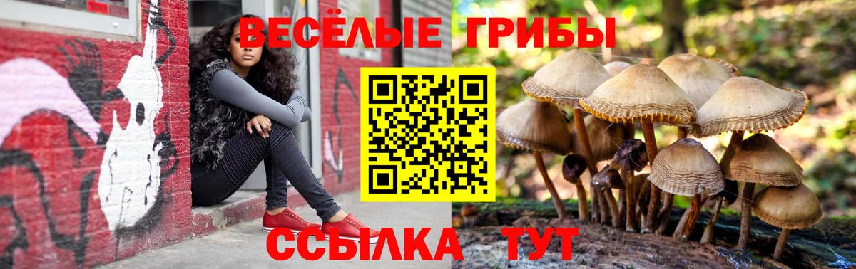 Пыть-Ях  Галлюциногенные грибы GOLDEN TEACHER  наркотики  Вход с VPN 