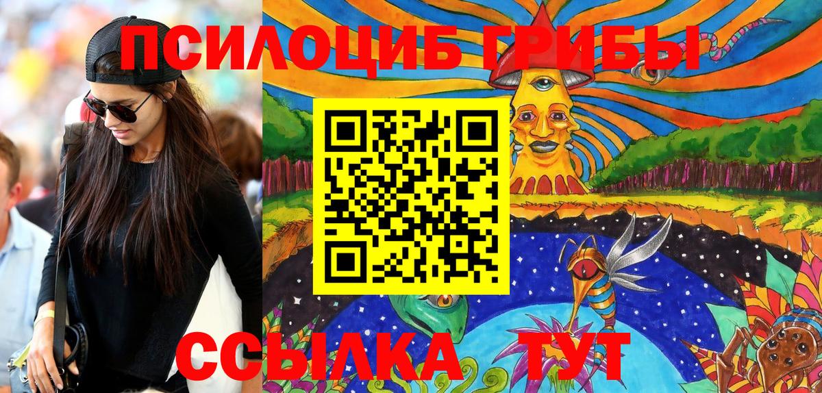 Галлюциногенные грибы Psilocybe Пыть-Ях